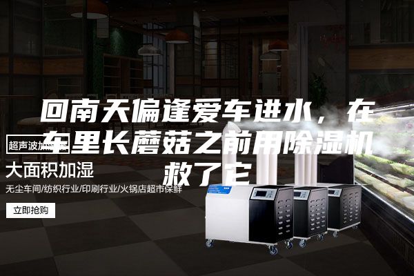 回南天偏逢愛(ài)車進(jìn)水，在車?yán)镩L(zhǎng)蘑菇之前用除濕機(jī)救了它