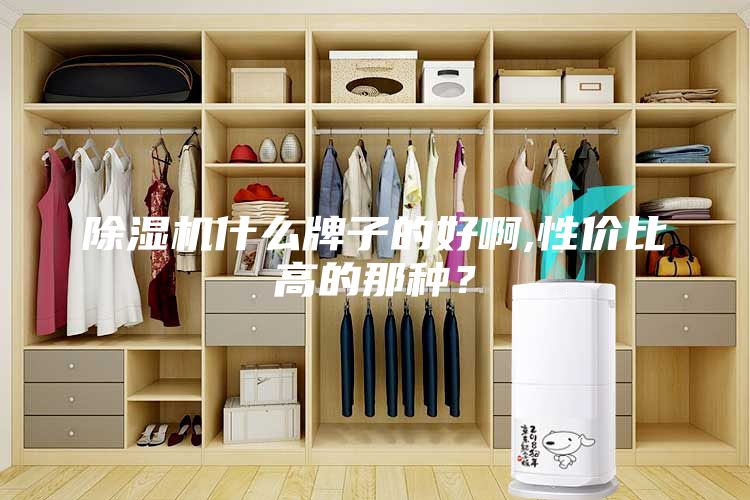 除濕機(jī)什么牌子的好啊,性價(jià)比高的那種？