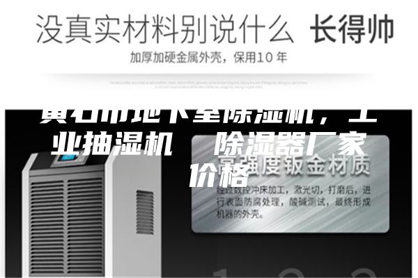 黃石市地下室除濕機(jī)，工業(yè)抽濕機(jī)  除濕器廠家 價格