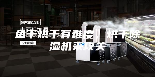 魚干烘干有難度，烘干除濕機來攻關