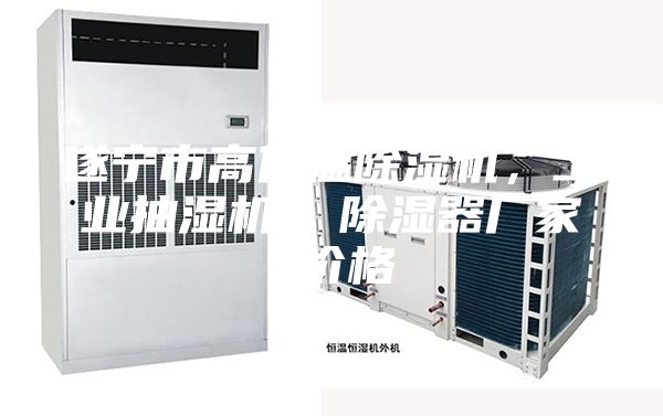 遂寧市高低溫除濕機，工業(yè)抽濕機  除濕器廠家 價格