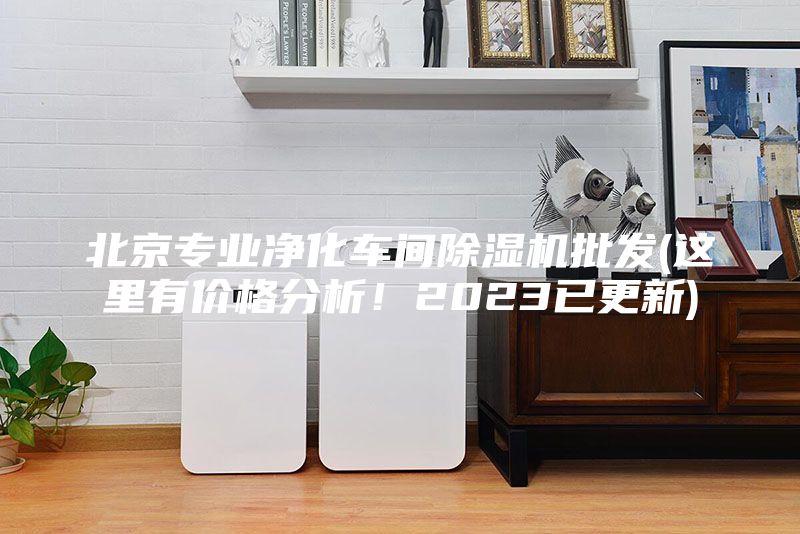 北京專業(yè)凈化車間除濕機批發(fā)(這里有價格分析！2023已更新)