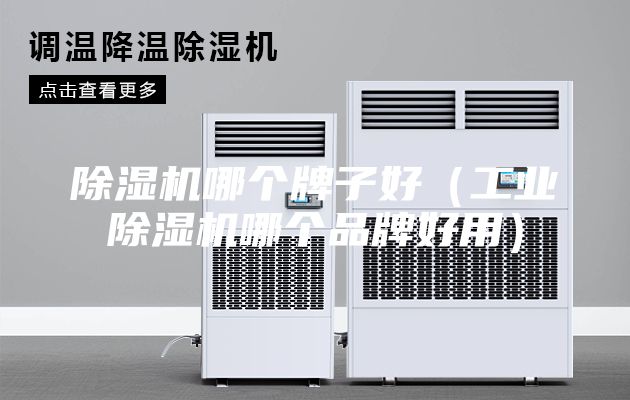 除濕機(jī)哪個牌子好（工業(yè)除濕機(jī)哪個品牌好用）