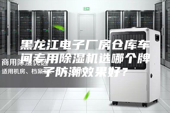 黑龍江電子廠房倉(cāng)庫(kù)車間專用除濕機(jī)選哪個(gè)牌子防潮效果好？