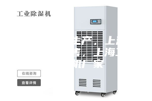 上海除濕機生產，上海家用除濕機銷售，上海工業(yè)除濕機廠家
