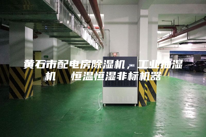 黃石市配電房除濕機(jī)，工業(yè)抽濕機(jī)  恒溫恒濕非標(biāo)機(jī)器