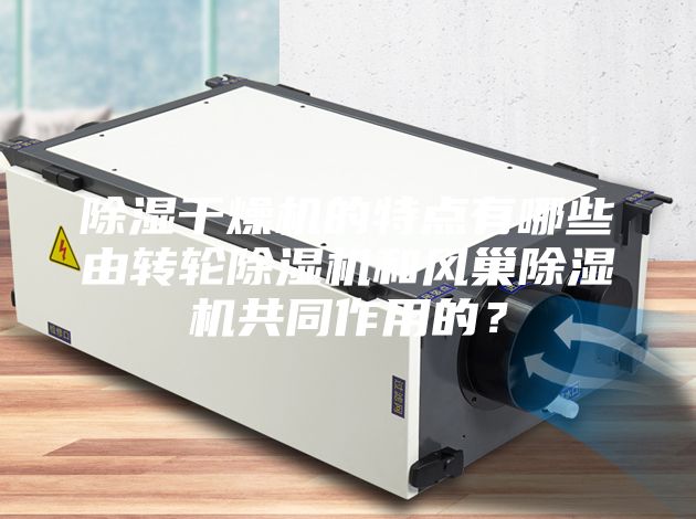 除濕干燥機的特點有哪些由轉(zhuǎn)輪除濕機和風巢除濕機共同作用的？