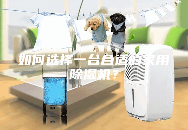 如何選擇一臺合適的家用除濕機？