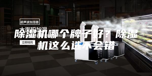 除濕機哪個牌子好？除濕機這么選不會錯
