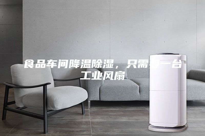 食品車間降溫除濕，只需要一臺(tái)工業(yè)風(fēng)扇