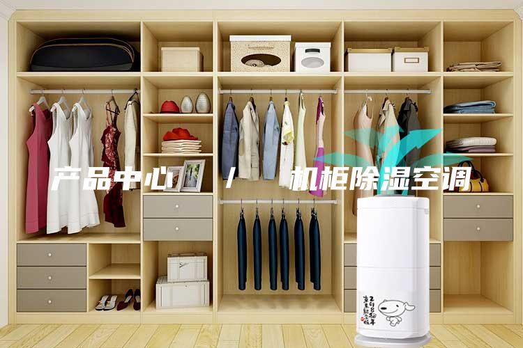 產(chǎn)品中心  ／  機柜除濕空調(diào)