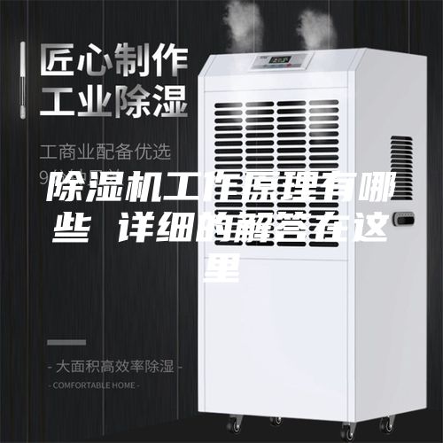 除濕機(jī)工作原理有哪些 詳細(xì)的解答在這里