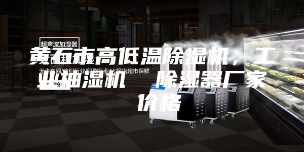 黃石市高低溫除濕機(jī)，工業(yè)抽濕機(jī)  除濕器廠家 價(jià)格