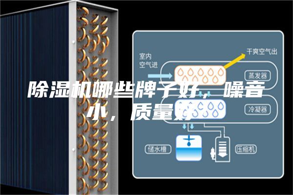 除濕機(jī)哪些牌子好，噪音小，質(zhì)量好？
