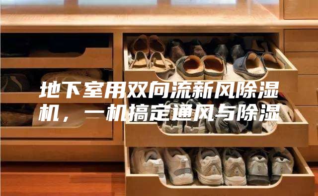 地下室用雙向流新風(fēng)除濕機，一機搞定通風(fēng)與除濕