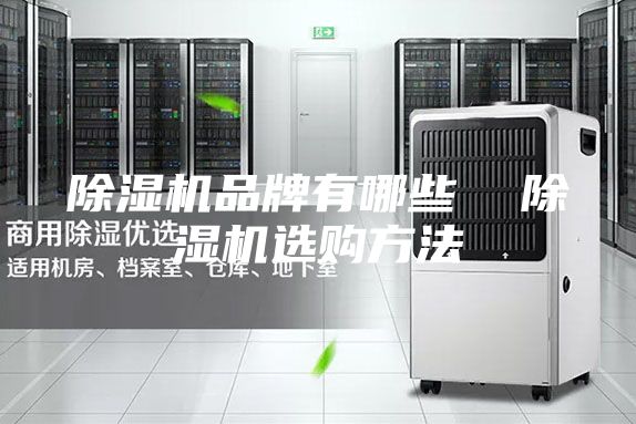 除濕機(jī)品牌有哪些  除濕機(jī)選購方法