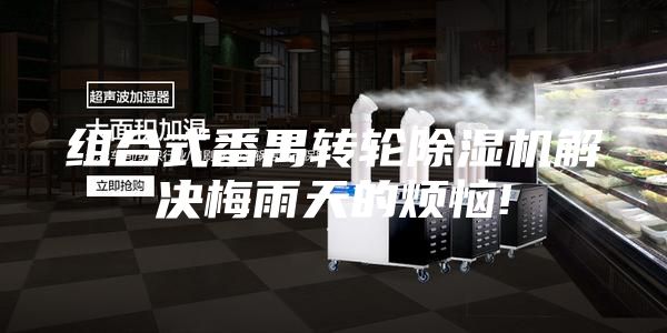 組合式番禺轉(zhuǎn)輪除濕機解決梅雨天的煩惱!
