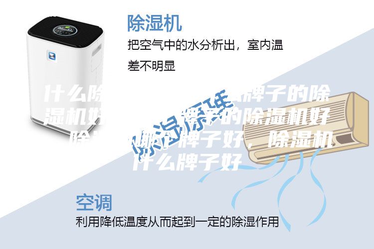 什么除濕機(jī)好，什么牌子的除濕機(jī)好，哪個(gè)牌子的除濕機(jī)好，除濕機(jī)哪個(gè)牌子好，除濕機(jī)什么牌子好
