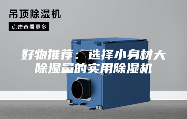 好物推薦：選擇小身材大除濕量的實(shí)用除濕機(jī)