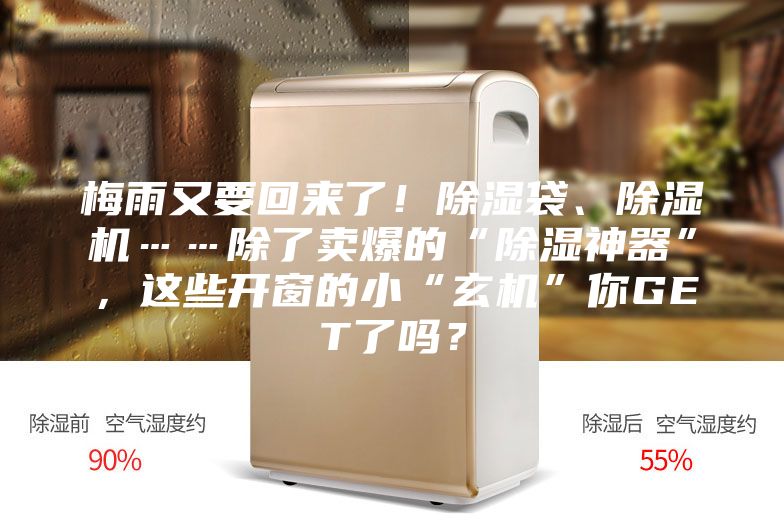梅雨又要回來了！除濕袋、除濕機……除了賣爆的“除濕神器”，這些開窗的小“玄機”你GET了嗎？