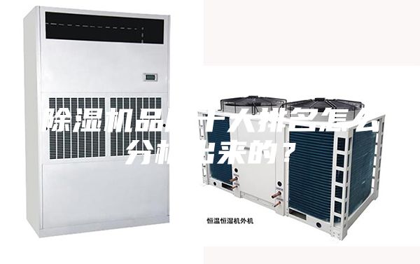 除濕機品牌十大排名怎么分析出來的？