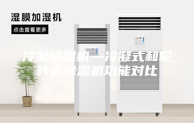 冷凝除濕機(jī)—冷凝式和輪轉(zhuǎn)式除濕機(jī)功能對(duì)比