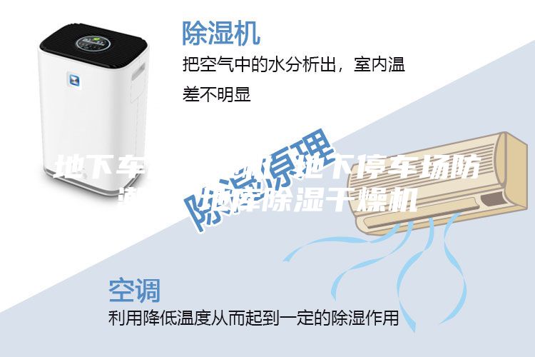 地下車(chē)庫(kù)除濕機(jī) 地下停車(chē)場(chǎng)防潮機(jī) 地庫(kù)除濕干燥機(jī)