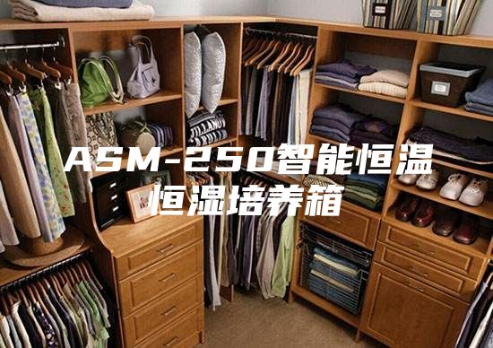 ASM-250智能恒溫恒濕培養(yǎng)箱