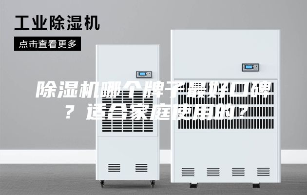 除濕機(jī)哪個(gè)牌子最好口碑？適合家庭使用的？