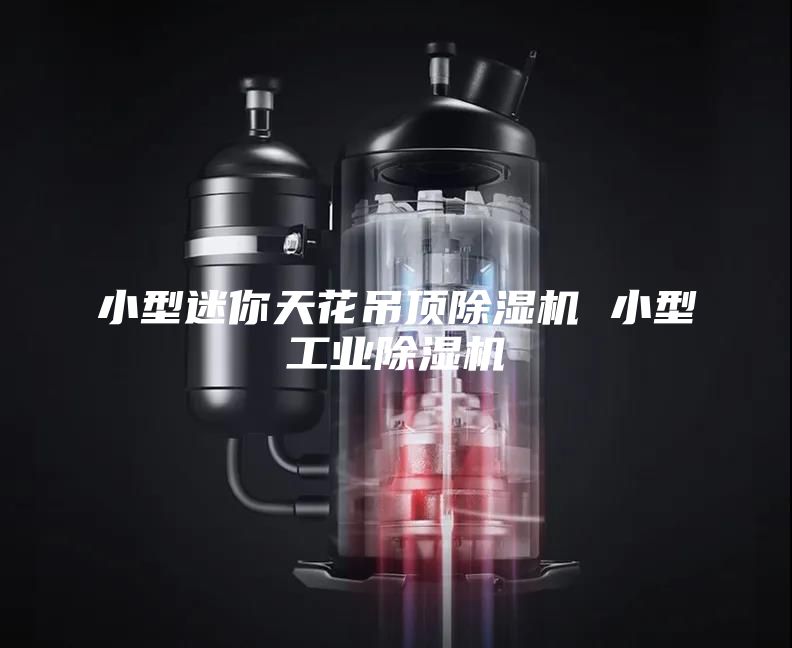 小型迷你天花吊頂除濕機 小型工業(yè)除濕機