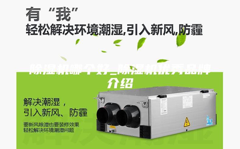 除濕機(jī)哪個(gè)好_除濕機(jī)優(yōu)秀品牌介紹