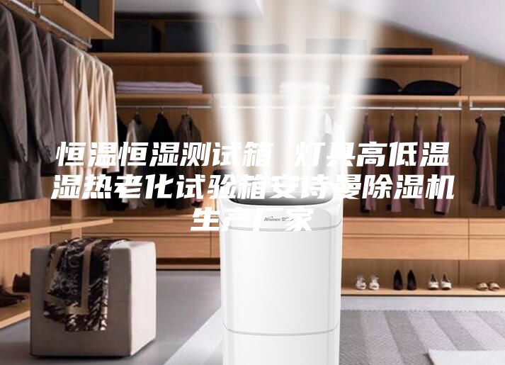 恒溫恒濕測試箱 燈具高低溫濕熱老化試驗(yàn)箱安詩曼除濕機(jī)生產(chǎn)廠家