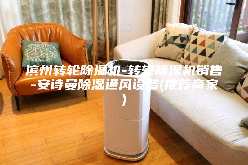 濱州轉(zhuǎn)輪除濕機(jī)-轉(zhuǎn)輪除濕機(jī)銷售-安詩曼除濕通風(fēng)設(shè)備(推薦商家)
