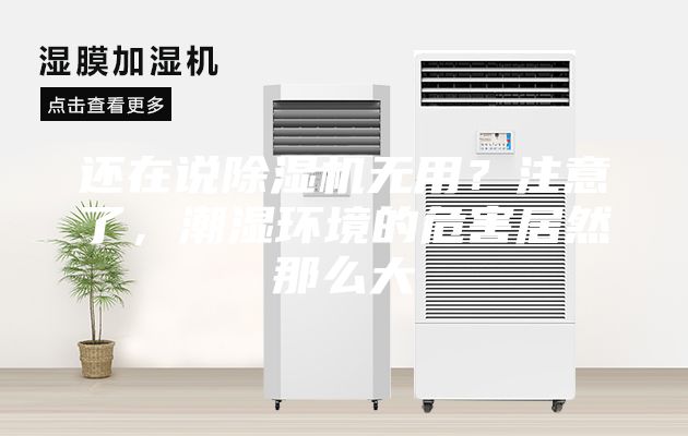 還在說(shuō)除濕機(jī)無(wú)用？注意了，潮濕環(huán)境的危害居然那么大