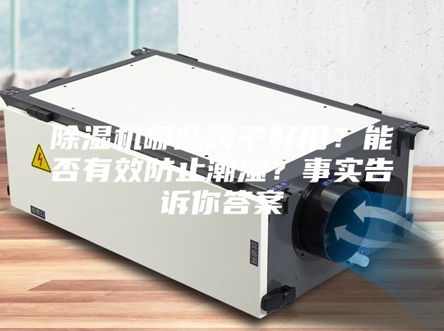 除濕機(jī)哪些牌子好用？能否有效防止潮濕？事實(shí)告訴你答案