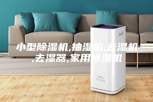 小型除濕機(jī),抽濕機(jī),去濕機(jī),去濕器,家用除濕機(jī)