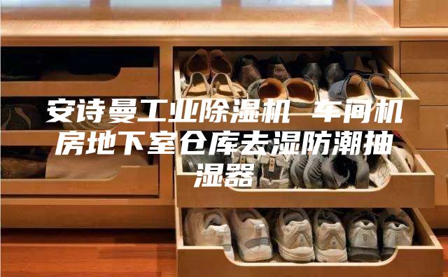 安詩(shī)曼工業(yè)除濕機(jī) 車間機(jī)房地下室倉(cāng)庫(kù)去濕防潮抽濕器