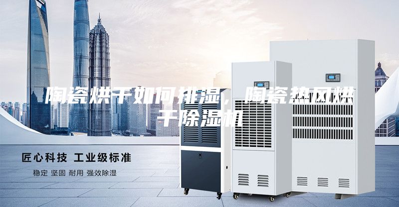 陶瓷烘干如何排濕，陶瓷熱風(fēng)烘干除濕機(jī)