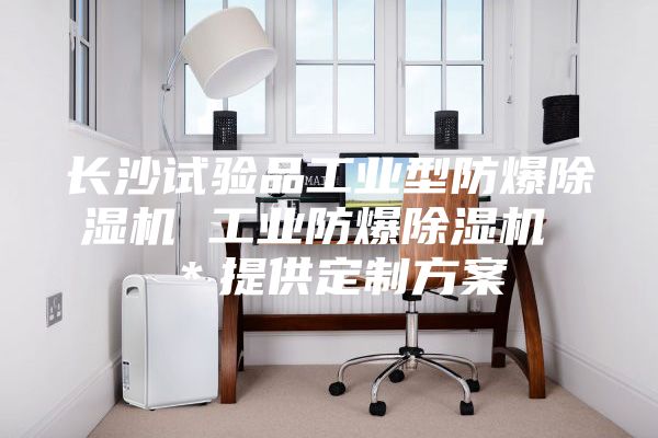 長沙試驗(yàn)品工業(yè)型防爆除濕機(jī) 工業(yè)防爆除濕機(jī) ＊提供定制方案