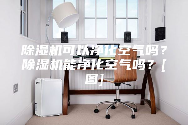 除濕機可以凈化空氣嗎？除濕機能凈化空氣嗎？[圖]