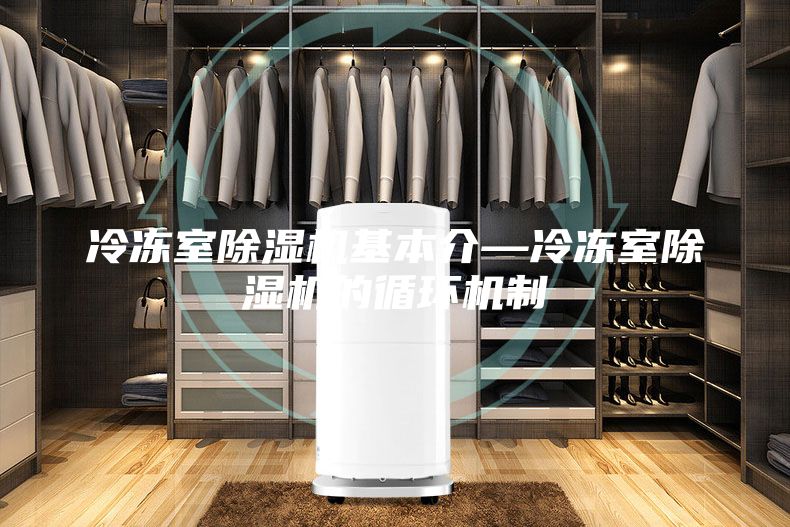 冷凍室除濕機基本介—冷凍室除濕機的循環(huán)機制