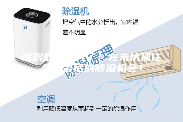 就剩最后一天了！在末伏抓住今年最后的除濕機會！