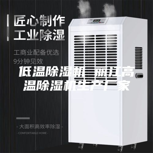 低溫除濕機 麗江高溫除濕機生產(chǎn)廠家