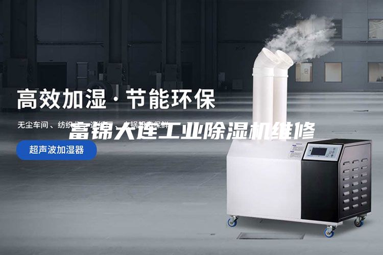 富錦大連工業(yè)除濕機(jī)維修