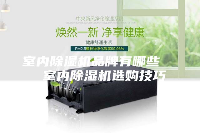 室內(nèi)除濕機(jī)品牌有哪些   室內(nèi)除濕機(jī)選購技巧
