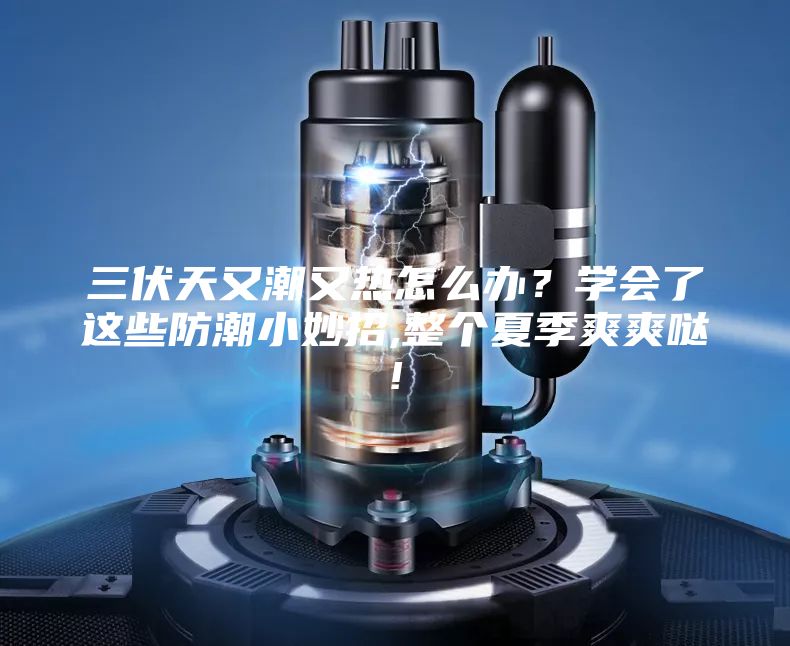 三伏天又潮又熱怎么辦？學會了這些防潮小妙招,整個夏季爽爽噠!