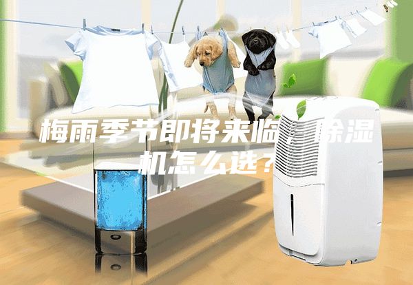 梅雨季節(jié)即將來臨，除濕機(jī)怎么選？