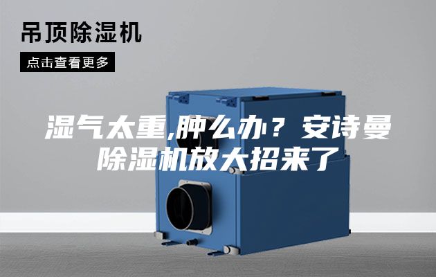 濕氣太重,腫么辦？安詩曼除濕機(jī)放大招來了
