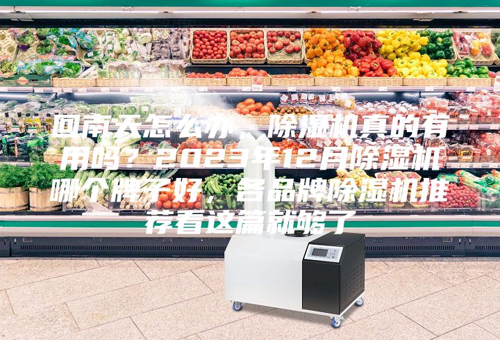 回南天怎么辦，除濕機(jī)真的有用嗎？2023年12月除濕機(jī)哪個(gè)牌子好，各品牌除濕機(jī)推薦看這篇就夠了