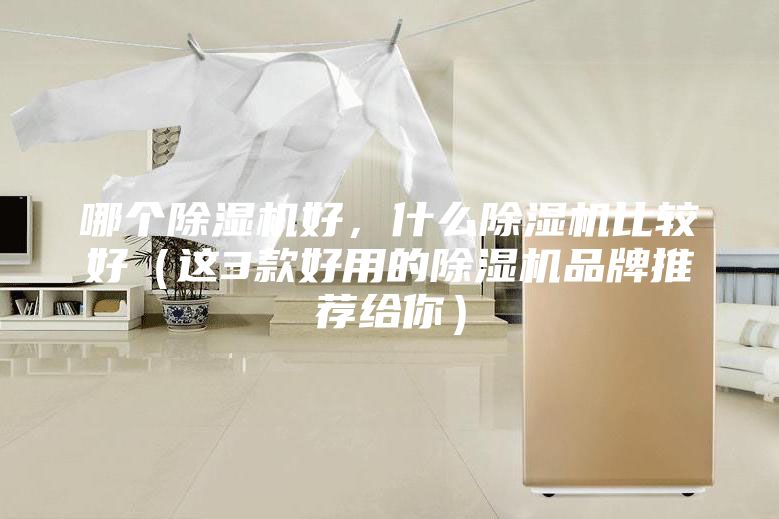 哪個除濕機好，什么除濕機比較好（這3款好用的除濕機品牌推薦給你）